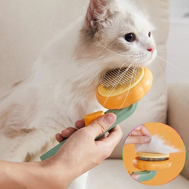 🐾 Cepillo Calabaza para Mascotas: El Mejor Cuidado para Tu Peludo 🐾